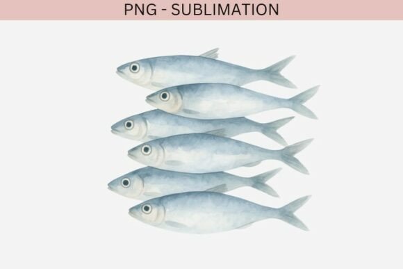 Download Sardines Png Design for T-shirts - Premium Bundle